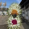 A two-tier classic funeral wreath-a