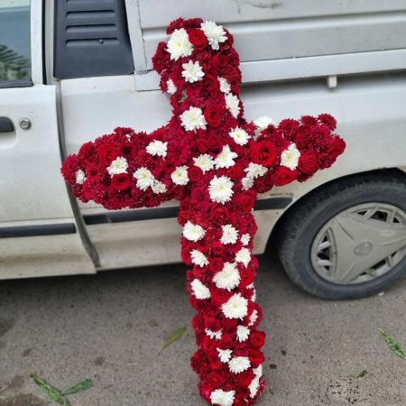 armenian cross flower a00005